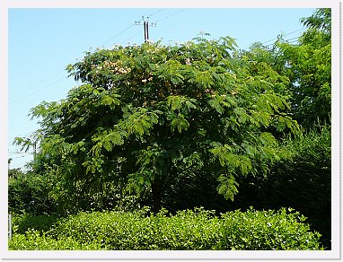 A 011 * 2048 x 1536 * (1.63MB)